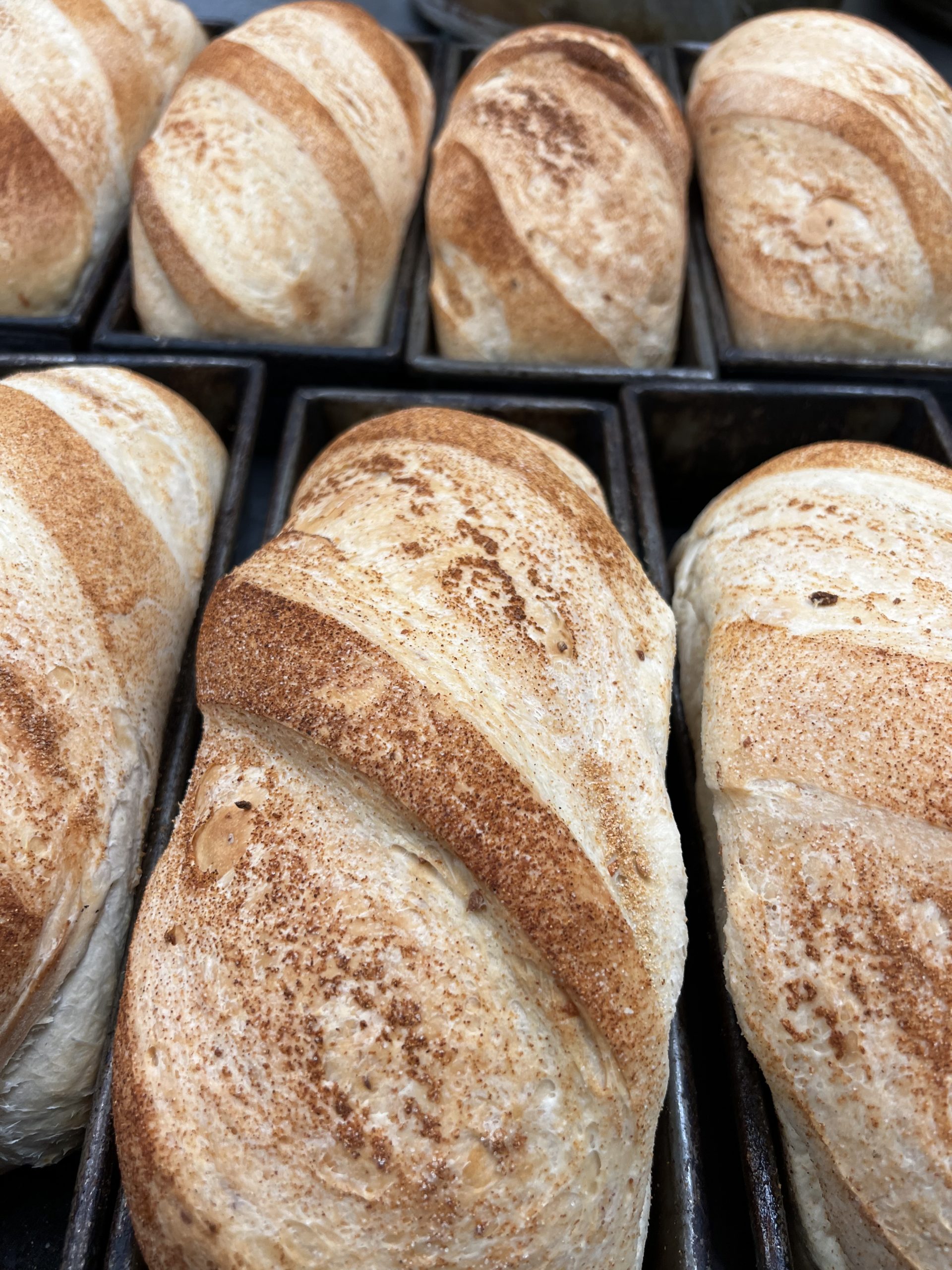 Fresh baked bread in pans